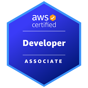 AWS Certified Developer - Associate practice exams